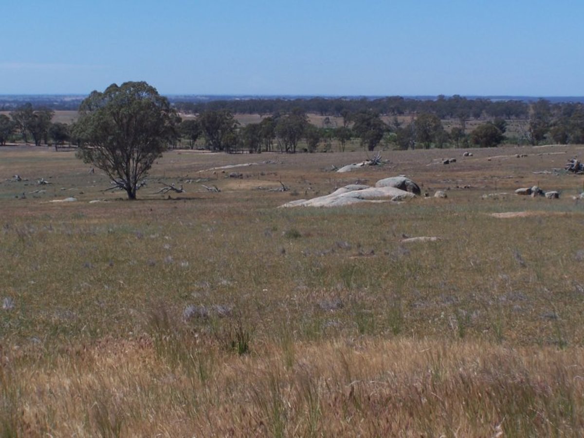 Old Canfields Road, Korong Vale