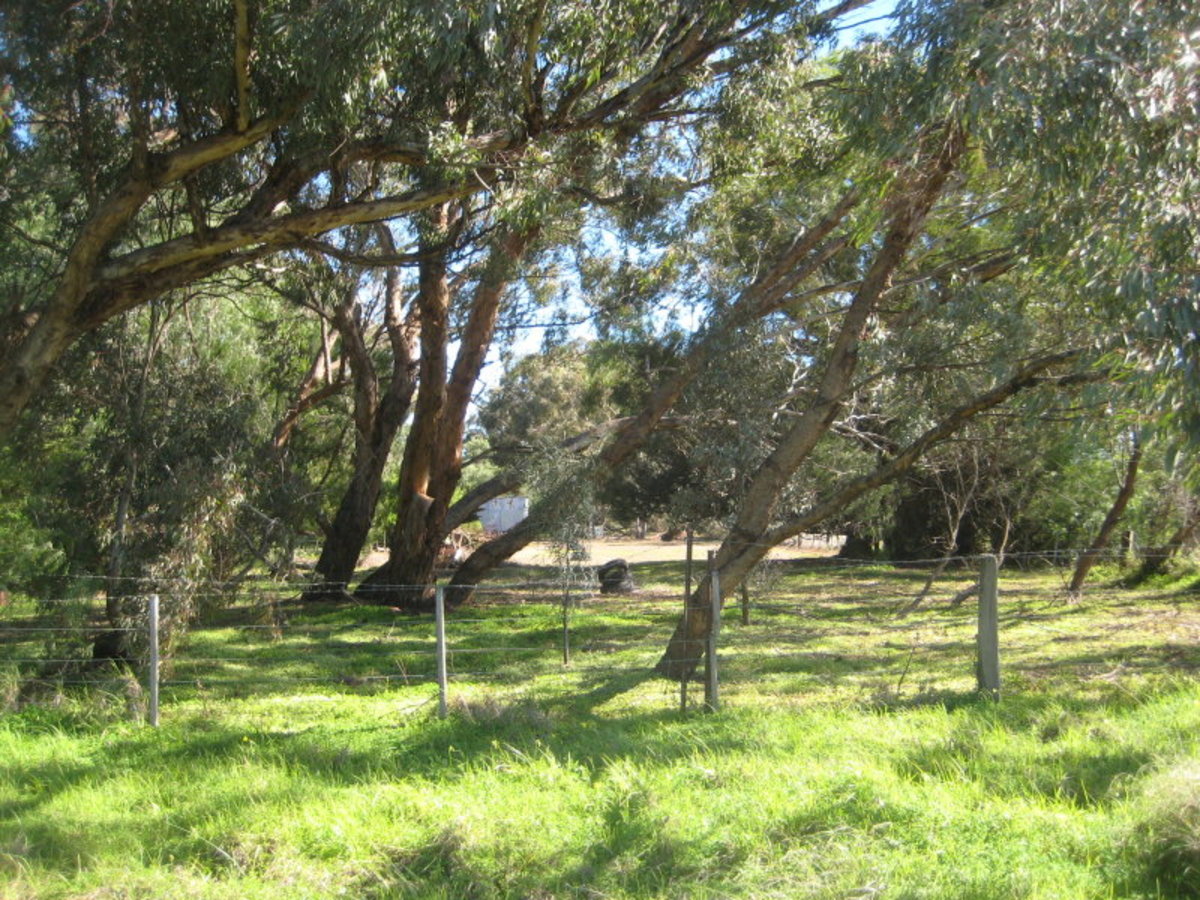 120 Cohen Road, Rochester