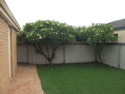 11 / 9 Mallard Way, Cannington