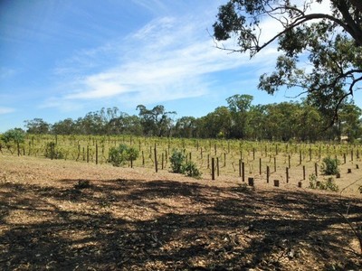 Heathcote