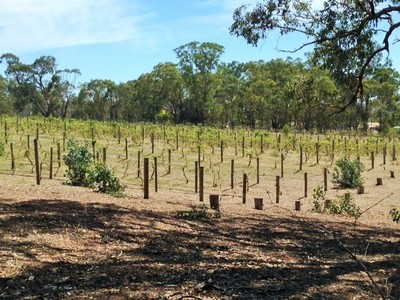 Heathcote