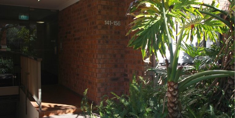 143 / 392 Jones Street, Ultimo