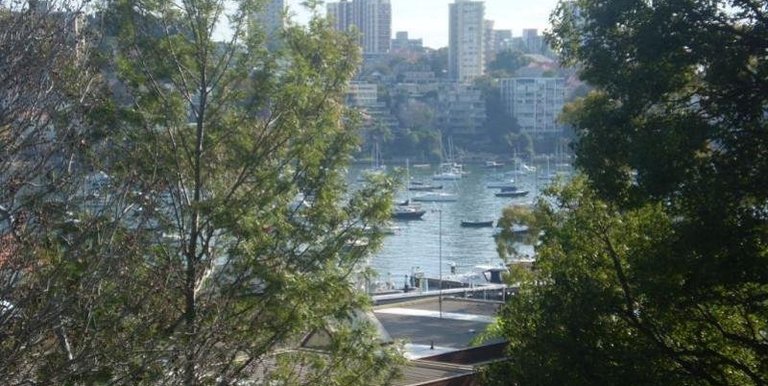 5 / 526 New South Head Road, Double Bay