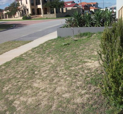 42 Belhaven Terrace, Quinns Rocks