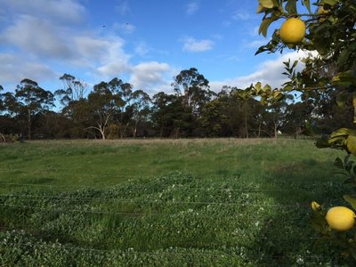 44 McMahon Road, Worrolong