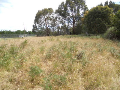 39 Crouch Street South, Mount Gambier