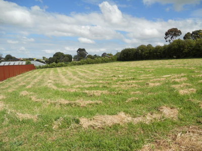 39 Crouch Street South, Mount Gambier