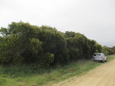 Lot 9, Racketts Road, Pelican Point