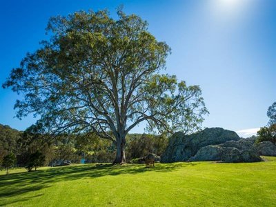 313 Riverview Road, North Narooma