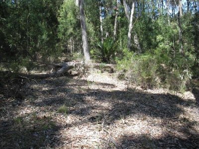 33 Woodlands Drive, Narooma