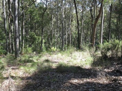 33 Woodlands Drive, Narooma