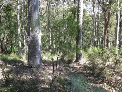 33 Woodlands Drive, Narooma