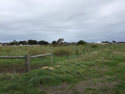 3 Edmund Street, Allendale East
