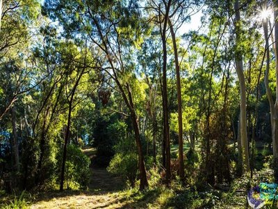 100 Hobbs Point Road, Narooma