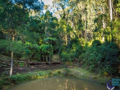 100 Hobbs Point Road, Narooma