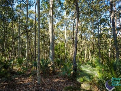 50 Woodlands Drive, Narooma