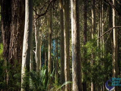 50 Woodlands Drive, Narooma