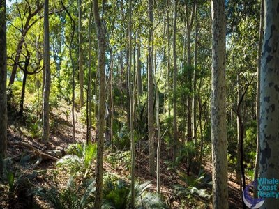 50 Woodlands Drive, Narooma