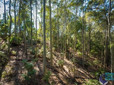 50 Woodlands Drive, Narooma