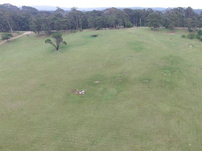61 Wonga Road, Narooma