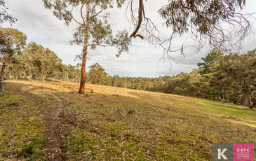 15 Billaroy Road  , Beaconsfield Upper