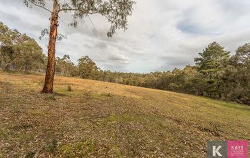 15 Billaroy Road  , Beaconsfield Upper