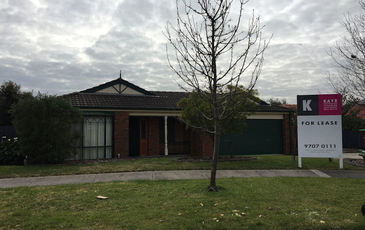 8 Hedgerow Court, Narre Warren South
