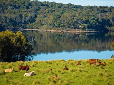 619 Old Hwy, Narooma