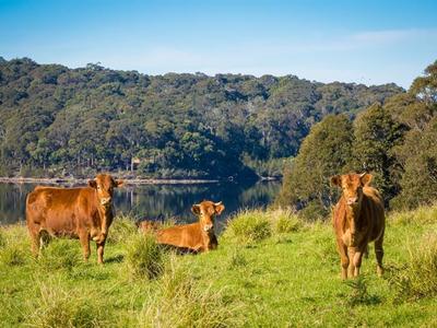 619 Old Hwy, Narooma