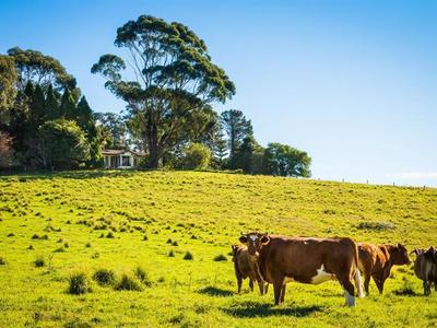619 Old Hwy, Narooma