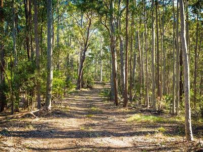 619 Old Hwy, Narooma