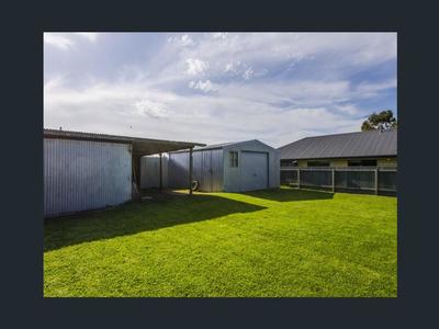 50 Bertha Street, Mount Gambier