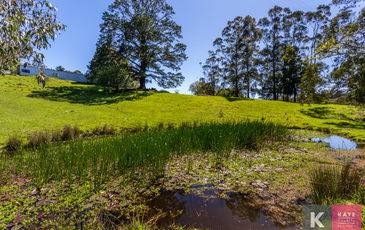 90 Beaconsfield Emerald Road, Dewhurst