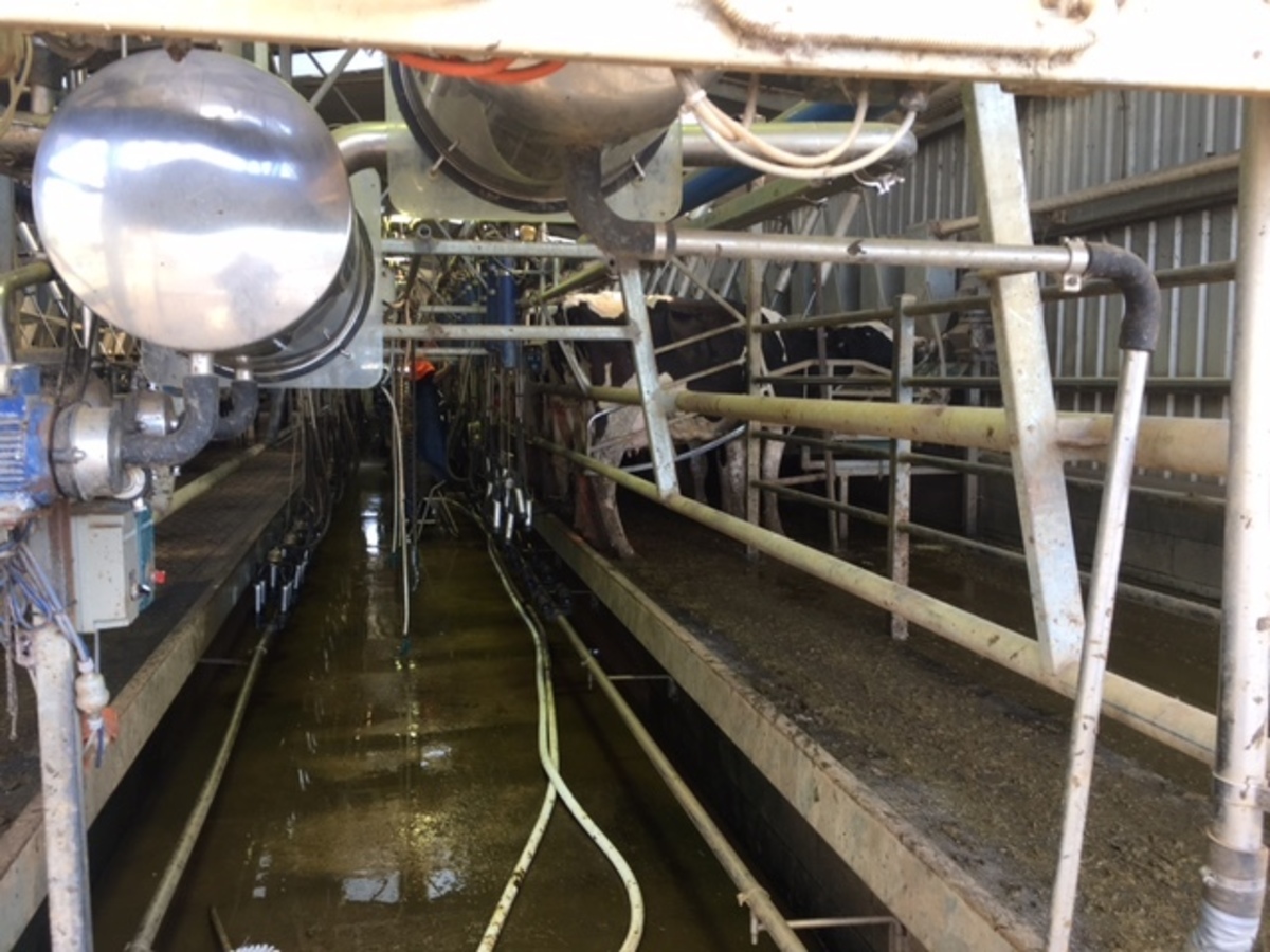 2066 & 2127 Middleton Road, Lockington