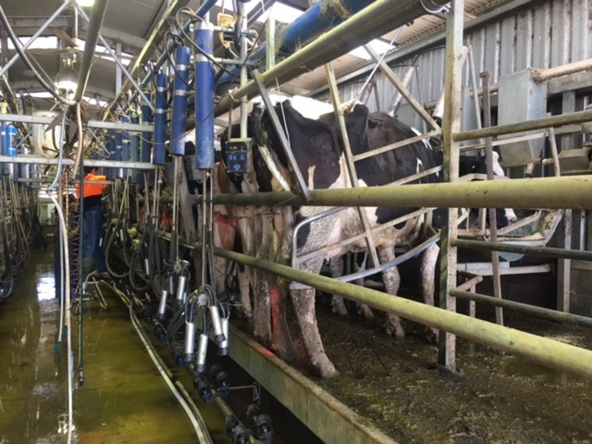 2066 & 2127 Middleton Road, Lockington