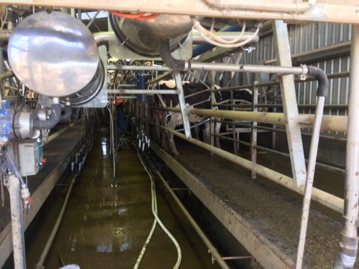 2066 & 2127 Middleton Road, Lockington