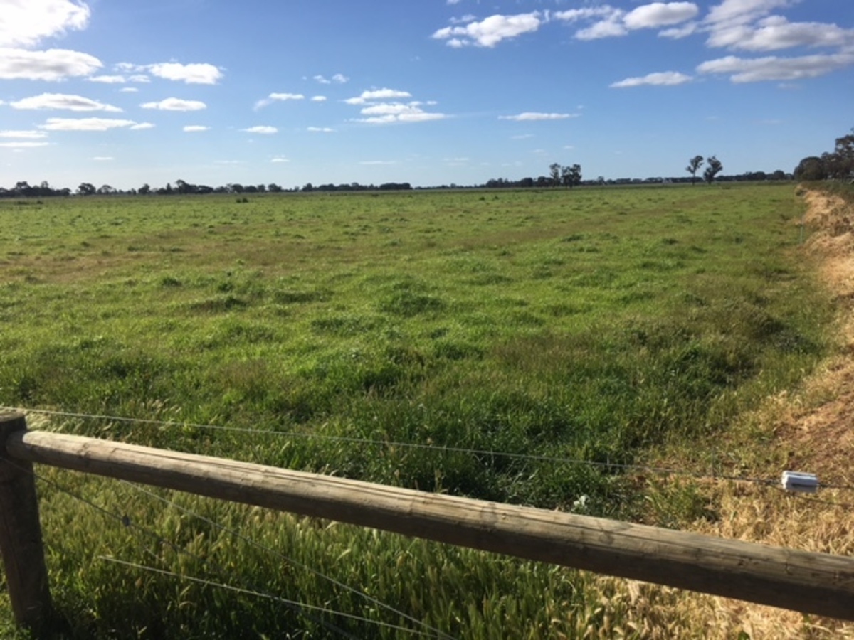 2066 & 2127 Middleton Road, Lockington