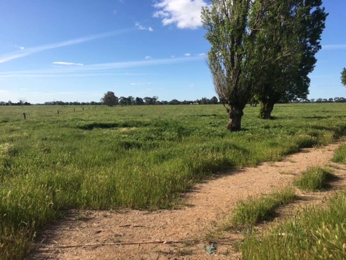 2066 & 2127 Middleton Road, Lockington