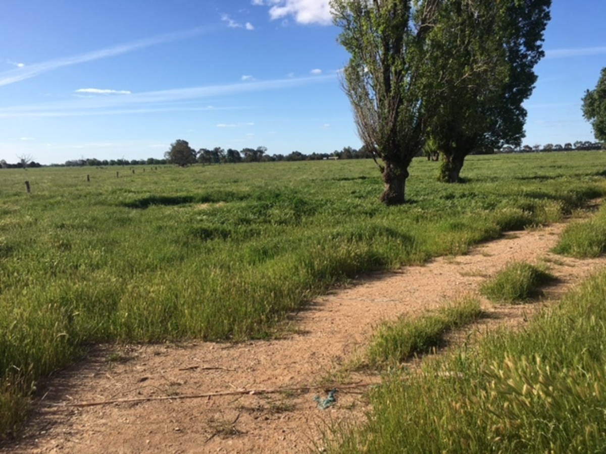 2066 & 2127 Middleton Road, Lockington