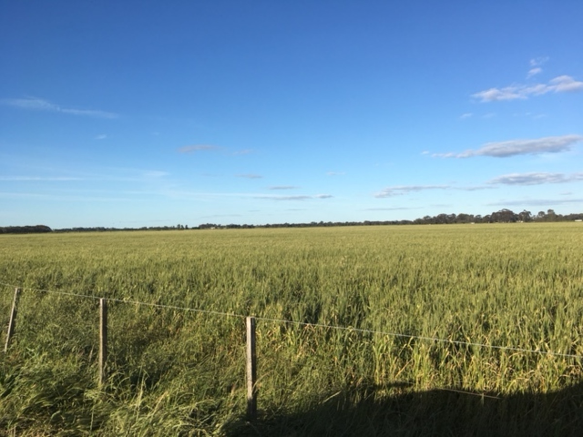 Lot 1, WHINFIELD ROAD, Kotta