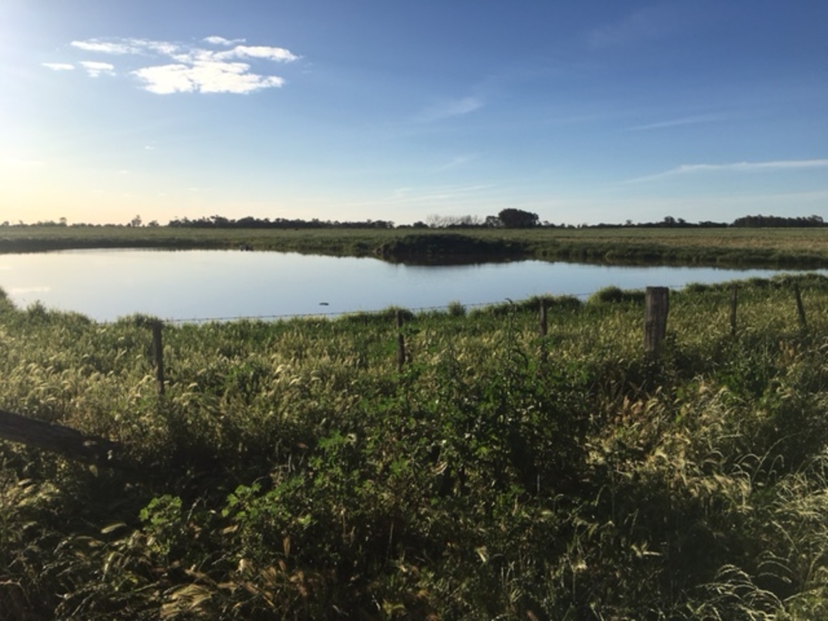 Lot 1, WHINFIELD ROAD, Kotta