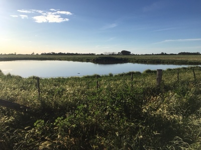 Lot 1, WHINFIELD ROAD, Kotta