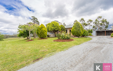 414 Brown Road, Officer