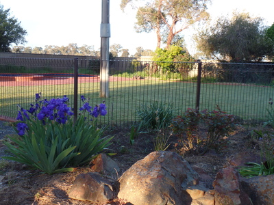 800 Mitchell Road, Kialla East
