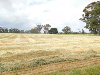 5145 Goulburn Valley Highway, Murchison East