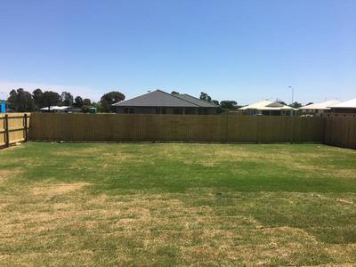 29 Weebah Place, Cambooya