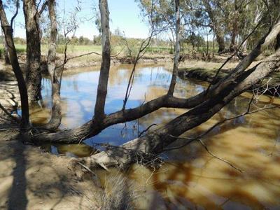 Reillys Pit Road, Numurkah