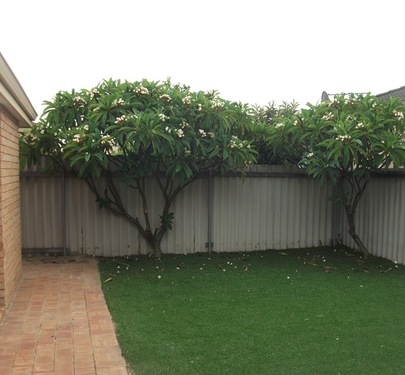11 / 9 Mallard Way, Cannington