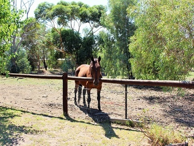 645 Dights Forest Road, Table Top