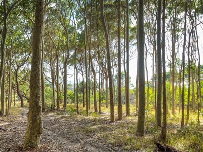 Lot 2, Dalmeny Drive, Kianga